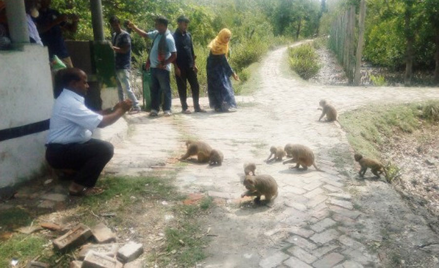 শ্যামনগরে ভেটখালী কম্পিউটার ব্যাবসায়ীদের উদ্যোগে সুন্দরবনের কলাগাছিয়া ভ্রমণ