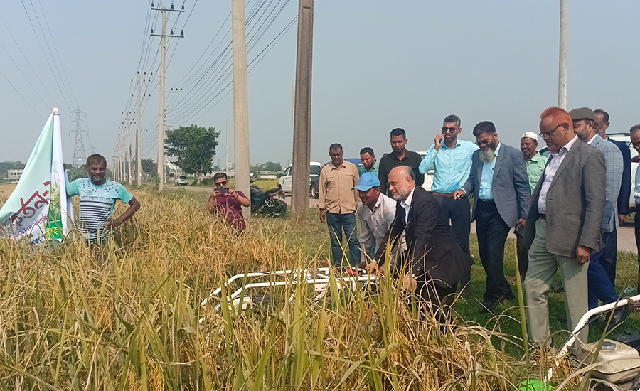 বাকৃবিতে আমন বীজ ধান কর্তন-২৫ উদ্বোধন
