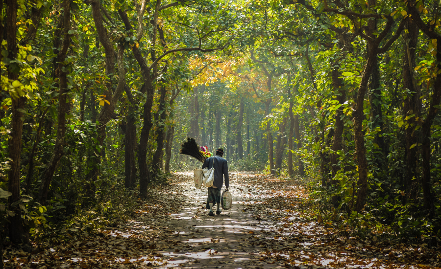 আলোচনায় মধুপুর ফল্ট, ভূমিকম্পে কোটি মানুষের প্রাণহানির শঙ্কা