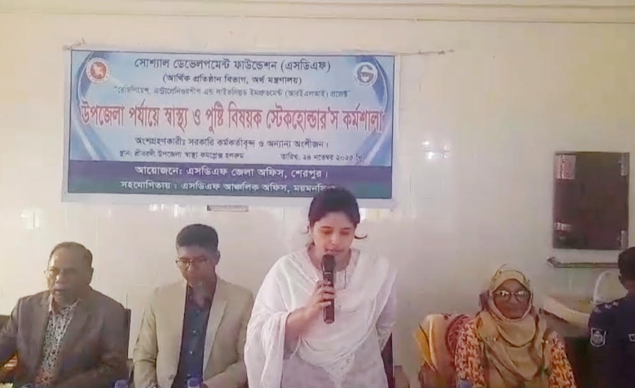 শ্রীবরদীতে স্বাস্থ্য ও পুষ্টি বিষয়ক স্টেকহোল্ডার'স কর্মশালা অনুষ্ঠিত