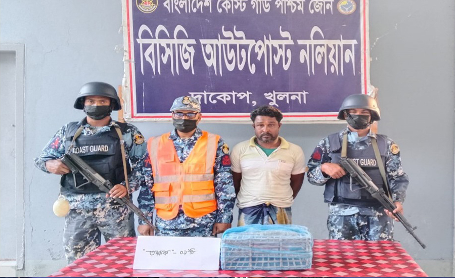 সুন্দরবন থেকে বিরল প্রজাতির তক্ষকসহ পাচারকারীকে আটক করেছে কোস্টগার্ড
