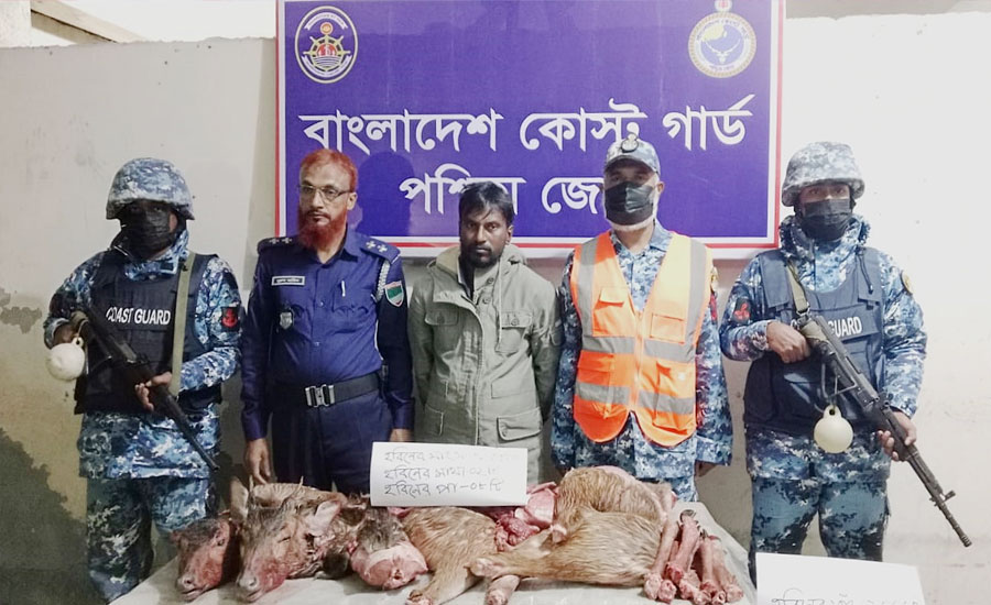 মোংলায় কোস্টগার্ড ও পুলিশের অভিযানে হরিণের মাংসসহ চোরা শিকারি আটক