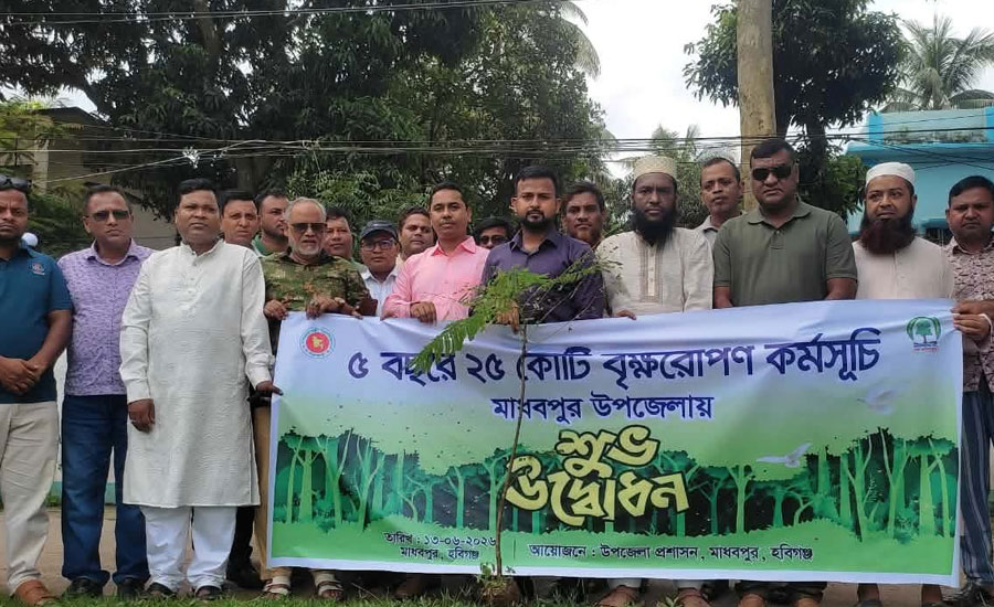 পরিবেশ রক্ষায় মাধবপুরে বিভিন্ন প্রজাতির গাছ লাগাচ্ছে প্রশাসন পরিবেশ রক্ষায় মাধবপুরে বিভিন্ন প্রজাতির গাছ লাগাচ্ছে প্রশাসন