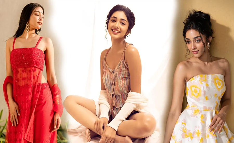বলিউডে দ্যুতি ছড়াতে আসছেন এই দক্ষিণী সুন্দরী বলিউডে দ্যুতি ছড়াতে আসছেন এই দক্ষিণী সুন্দরী